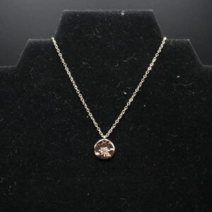 cardinal-navigation-necklace-gold